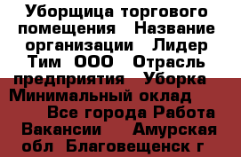 Уборщица торгового помещения › Название организации ­ Лидер Тим, ООО › Отрасль предприятия ­ Уборка › Минимальный оклад ­ 28 900 - Все города Работа » Вакансии   . Амурская обл.,Благовещенск г.